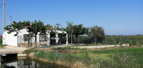 Casa Rous-Riumar 1, Deltebre